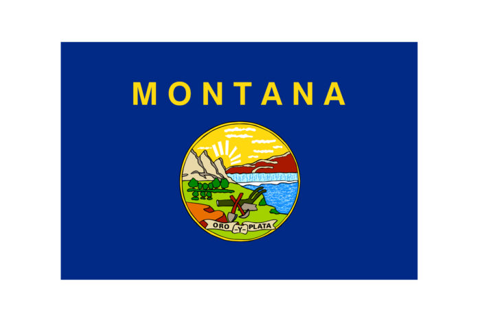 Montana Flag