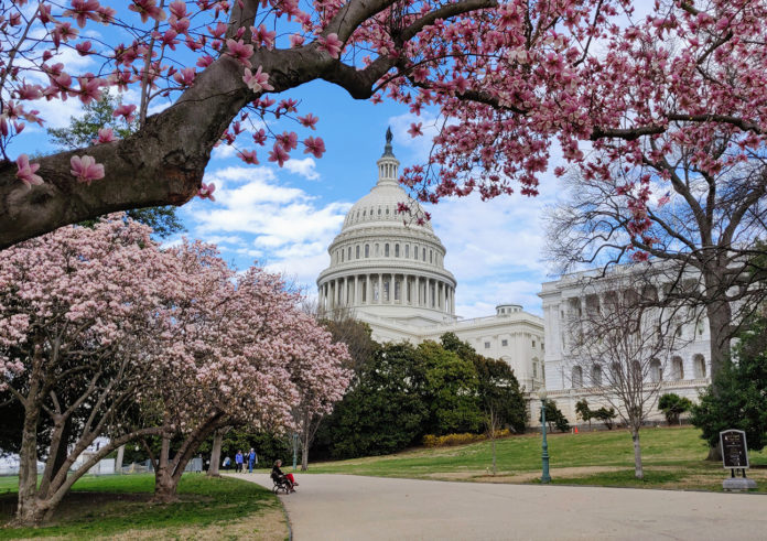 US Capitol