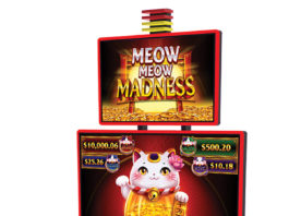 AGS – Meow Meow Madness