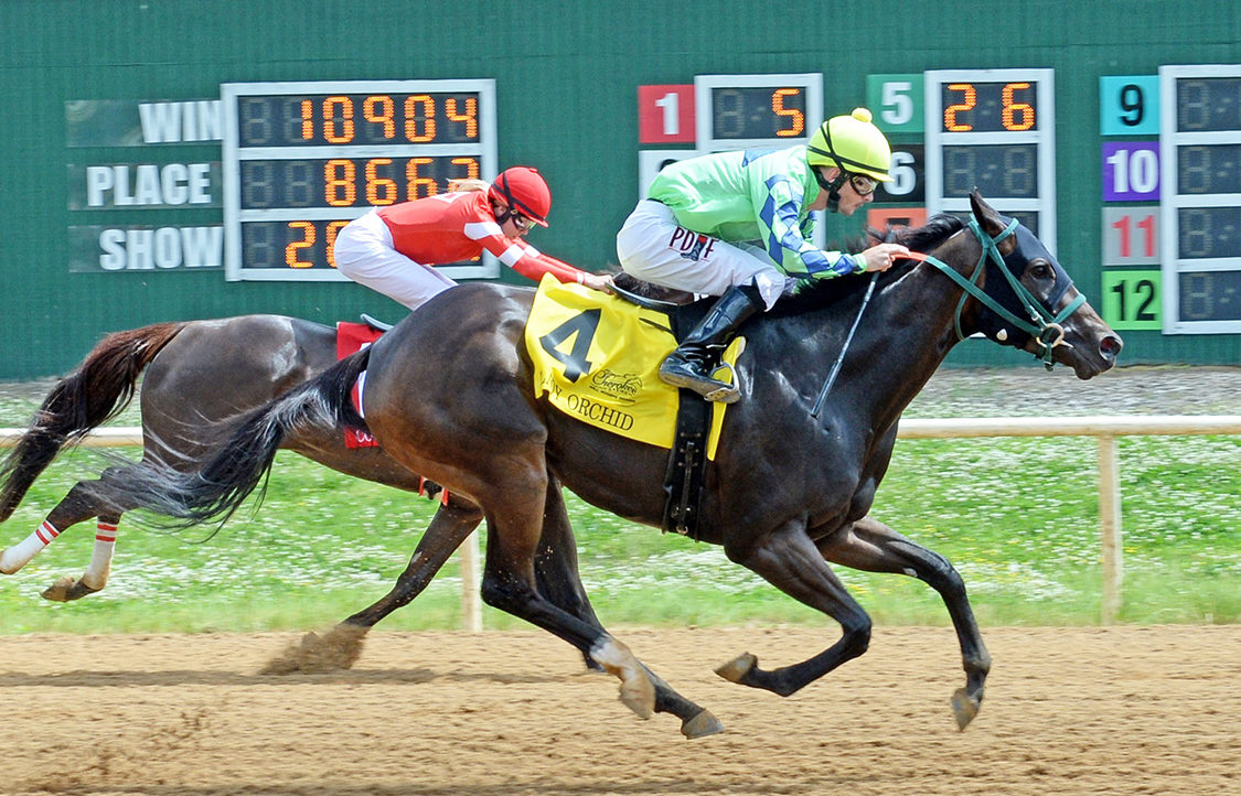 2022 Season Concludes at Will Rogers Downs Indian Gaming