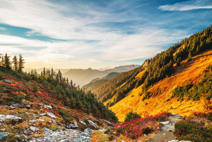 North Cascade Mountains