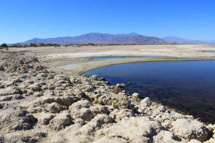 Salton Sea