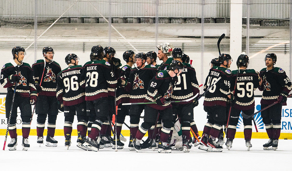 Arizona Coyotes Panoramic Picture - Gila River Arena Decade Awards NHLCOY3