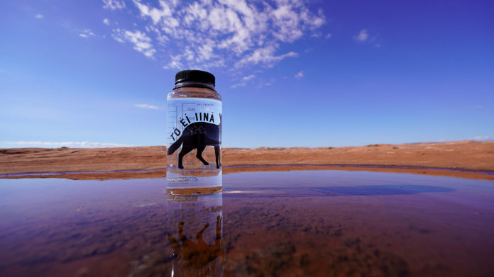 Nalgene Navajo Water Bottle