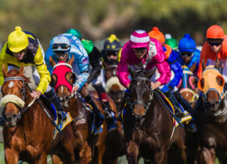 Tribal Nations Partner With Vetnos To Create First-Ever Class II Sports Gaming App, PlaySqor