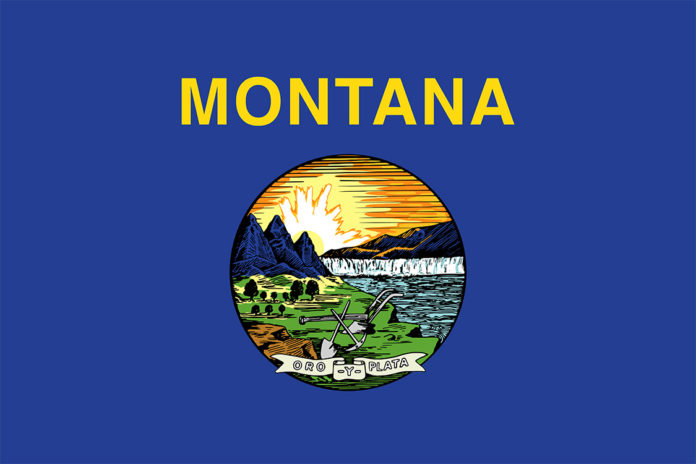 Montana Flag