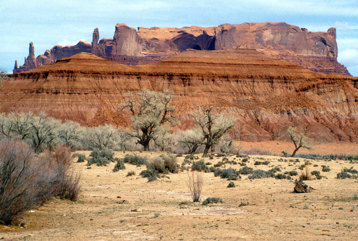 Many Farms, AZ