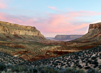 Arizona Bettors Wagered $535M on Sports in April Supai AZ