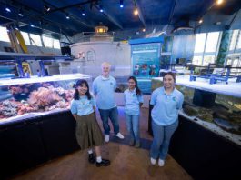 Chumash Foundation Donates $72,000 to County Schools Cabrillo Aquarium