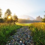 Tribal Leader Roundtable: Spotlight on 2023 Development