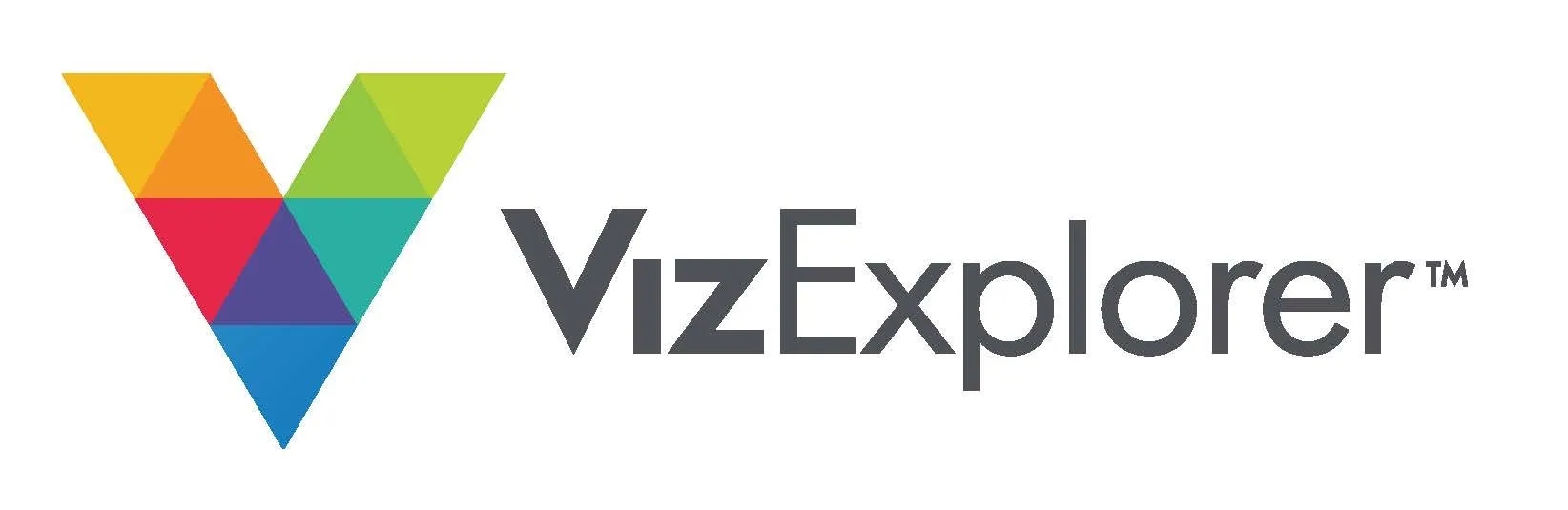 VizExplorer Logo BG