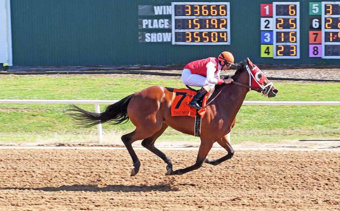 Will Rogers Downs_Take Me Serious Will Rogers Downs_Take Me Serious