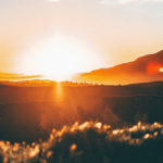 Tribal Leader Roundtable: Spotlight on Resilience and Gaming Sunrise