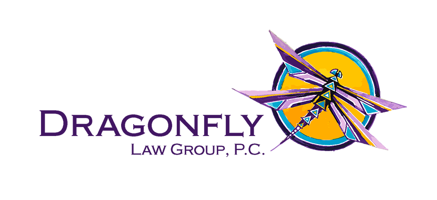 Dragonfly Law Group Logo copy