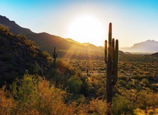 Arizonans Wager $822M on Sports in Dec. 2025