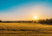 Tribal Leader Roundtable: Spotlight on Tribal Resilience and Gaming Sunset horizon