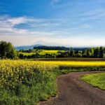 Tribal Leader Roundtable: Innovation & Leadership Development Spring Road