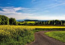 Tribal Leader Roundtable: Innovation & Leadership Development Spring Road