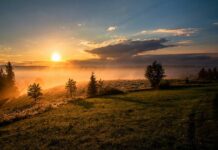 Tribal Leader Roundtable: Priorities, Innovation, and Leadership sunrise horizon