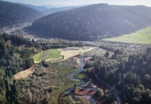 Yurok Tribe Regains 125 Acres of Ancestral Redwood Land O Rew Redwoods Gateway