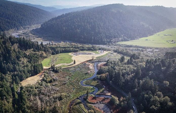 O Rew Redwoods Gateway