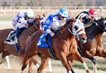 Cherokee Casino Will Rogers Downs Opens Fall Meet With Higher Purses Cherokee Casino Will Rogers Downs_REVR