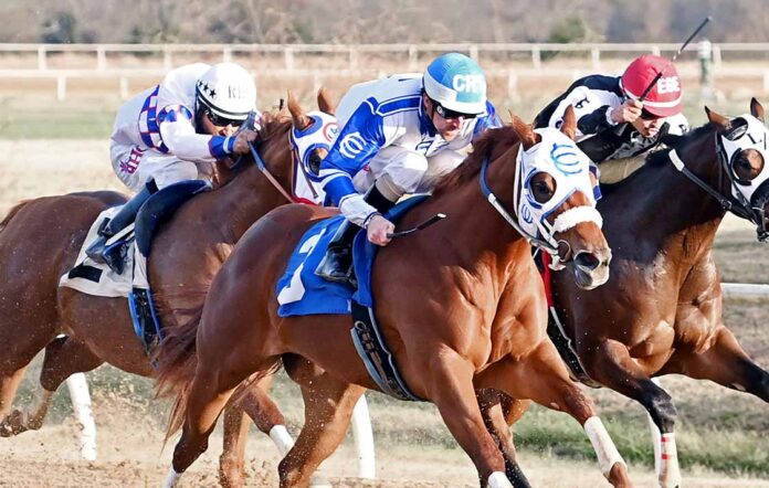 Cherokee Casino Will Rogers Downs_REVR Cherokee Casino Will Rogers Downs_REVR