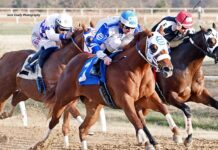 Cherokee Casino Will Rogers Downs Opens Fall Meet With Higher Purses Cherokee Casino Will Rogers Down